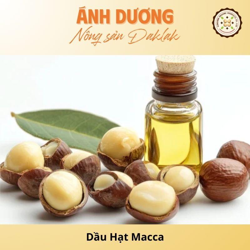 Macadamia Nut Oil: Golden Ingredients You Should Know!