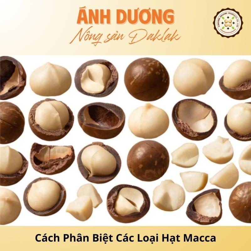 Instructions on How to Distinguish Macadamia Nuts